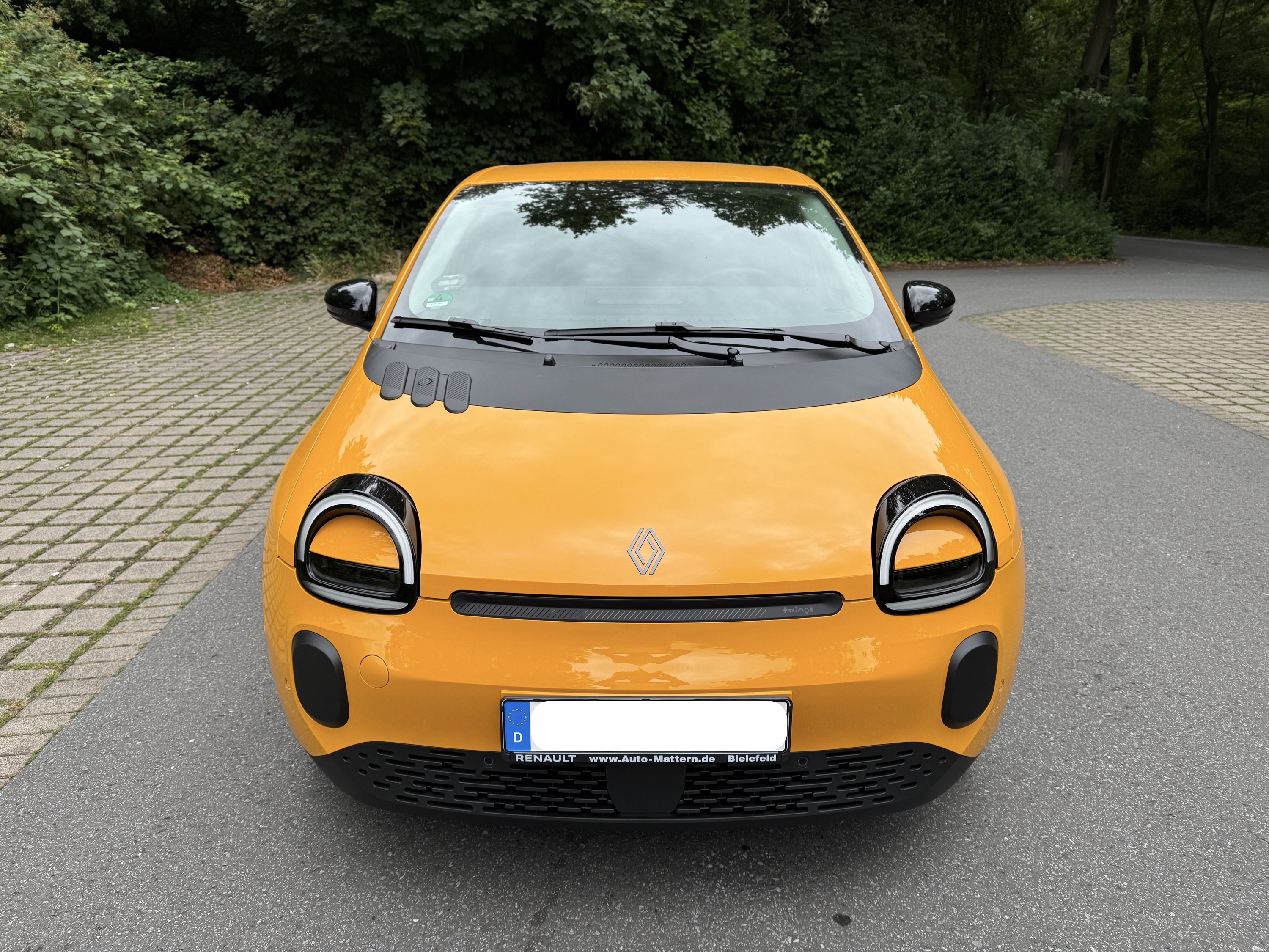 Bibo von vorne