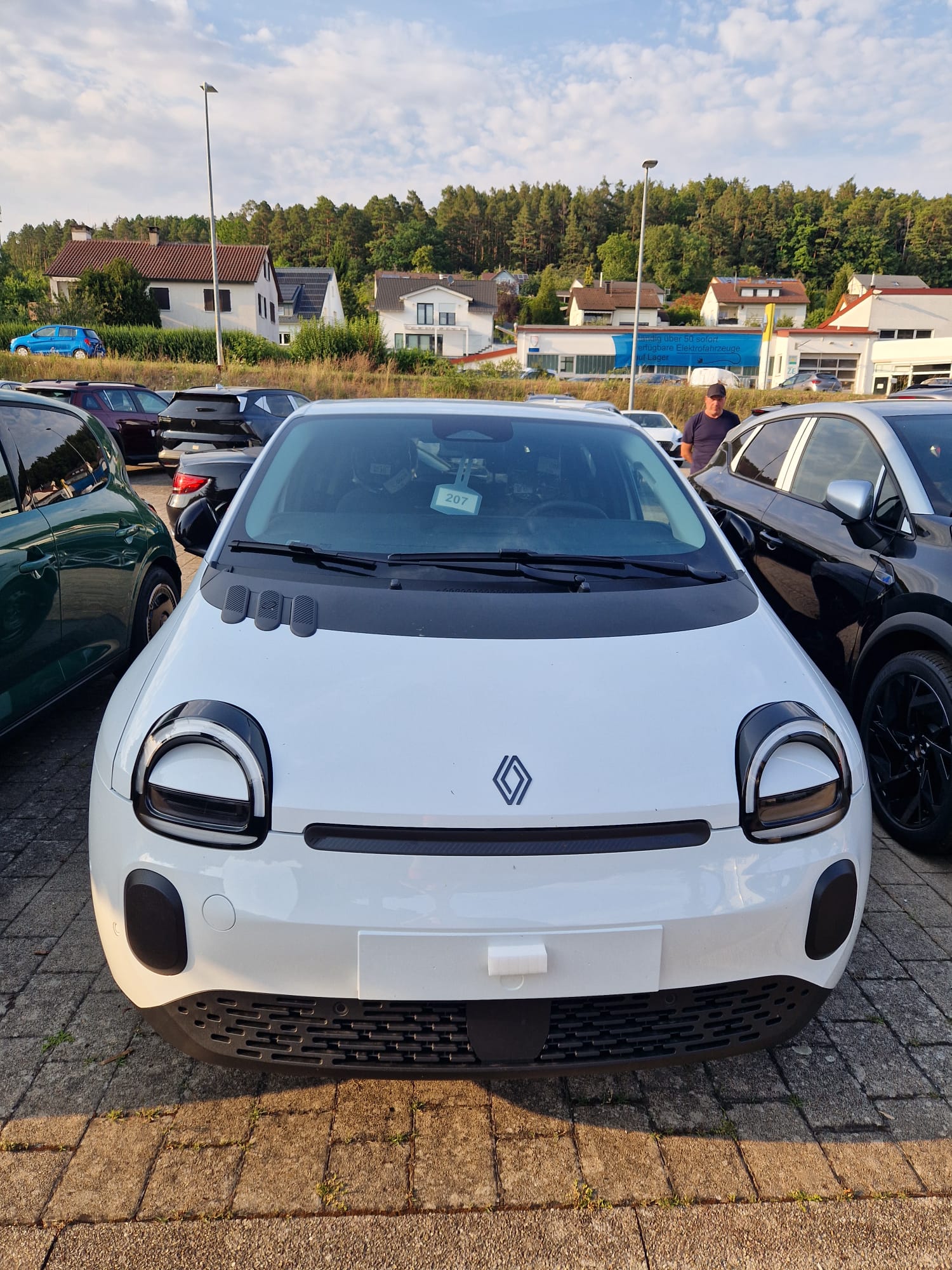 Twingo in weiß